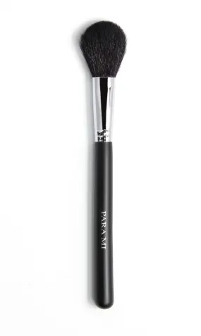 Blush Brush 563