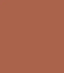 F01 - PINKFLASH Chic In Cheek Blush (1.7g)