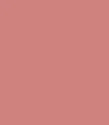 F01 - PINKFLASH Chic In Cheek Blush (1.7g)