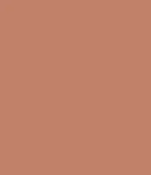F01 - PINKFLASH Chic In Cheek Blush (1.7g)