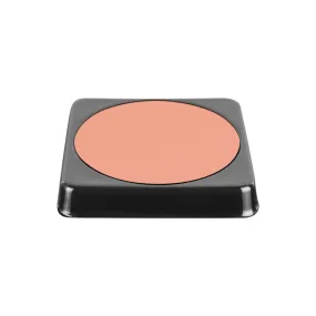 Rush on Blush - 2 Palette