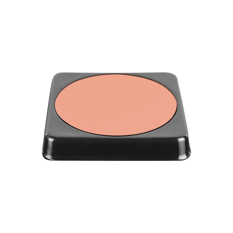 Rush on Blush - 2 Palette